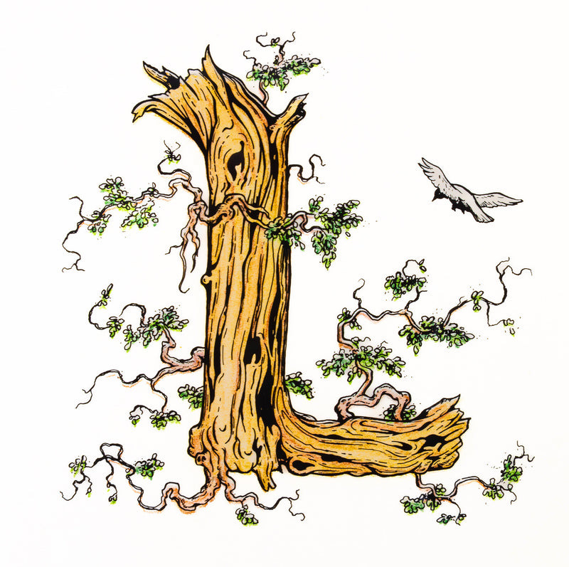 Lignomorphic Lettering