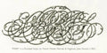 1867 - Jules Girault - "Paris" in Floriated Script
