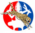 Ist Air Commandos Insignia