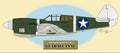 44th Fighter Squadron P-40 Aircraft - Illustration