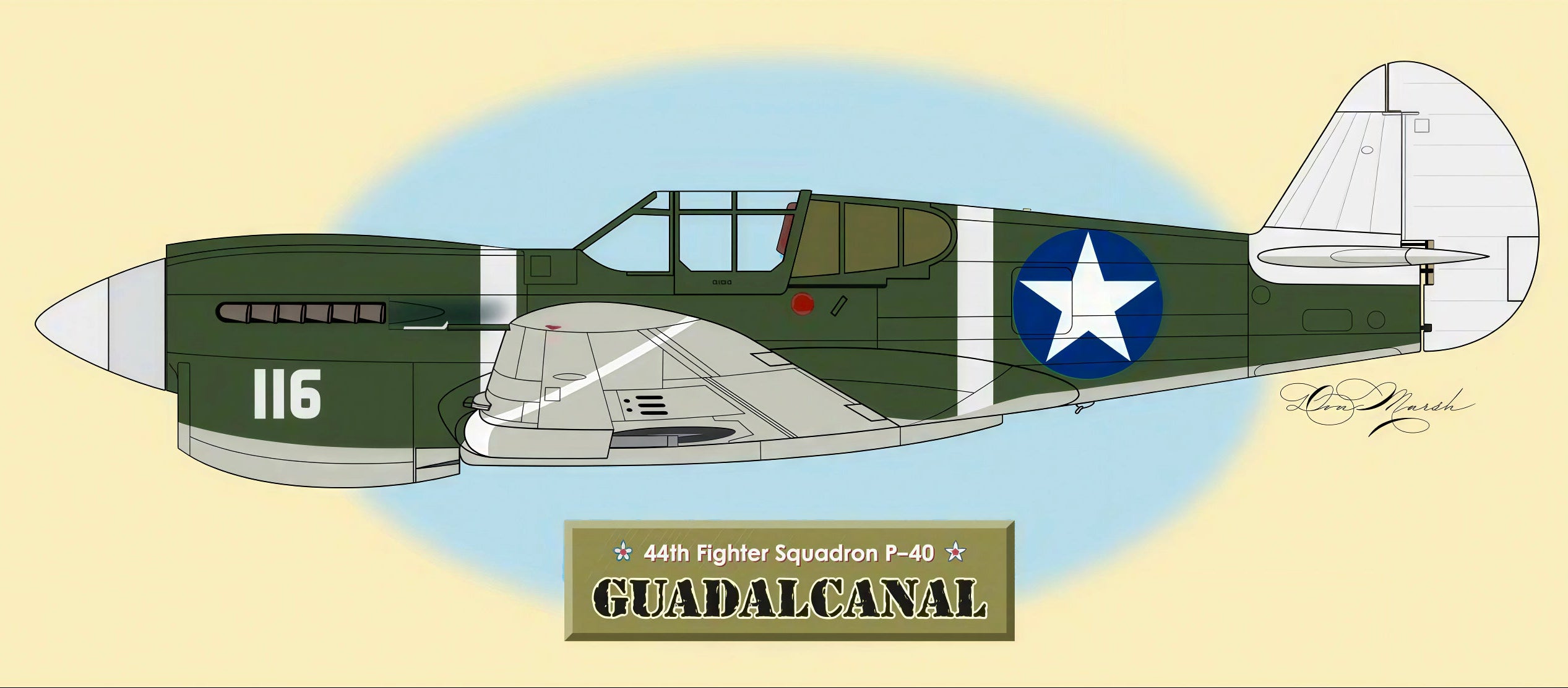 44th Fighter Squadron P-40 Aircraft - Illustration