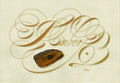 Minerals - Amber - English Italian Hand