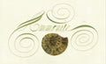 Minerals - Ammonite - English Italian Hand