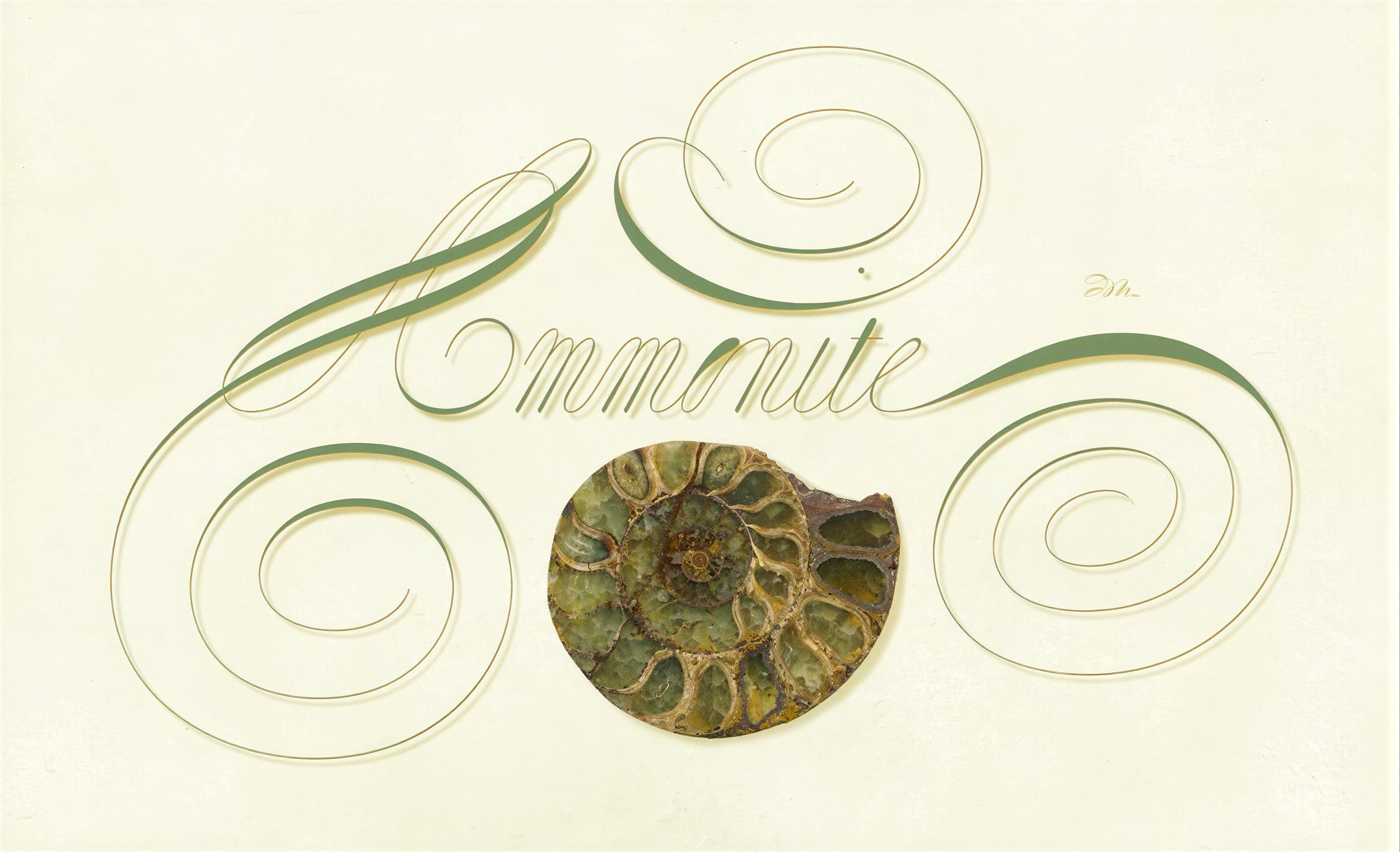 Minerals - Ammonite - English Italian Hand