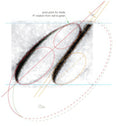 Analysis of Ovals and Angles