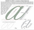 Anatomy of a Script "a"
