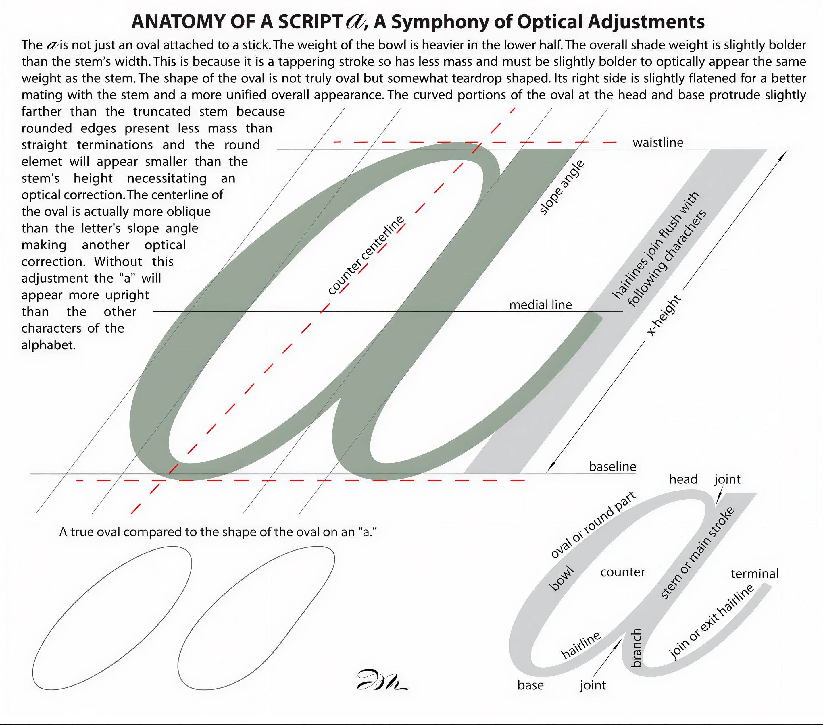 Anatomy of a Script "a"