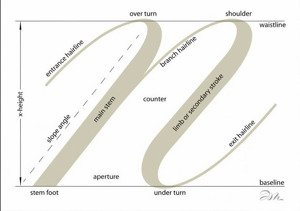 Anatomy of a Script "n"