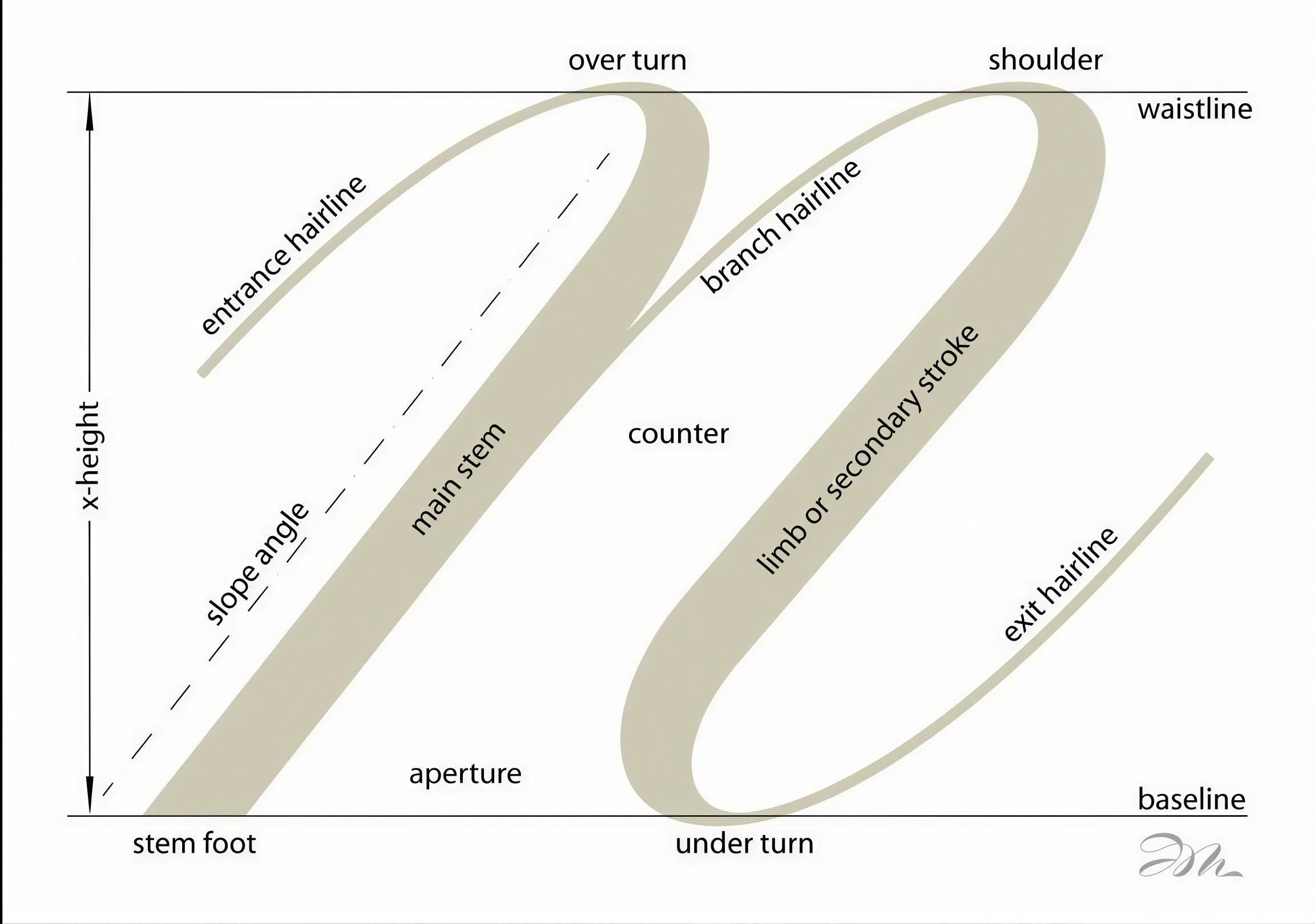 Anatomy of a Script "n"