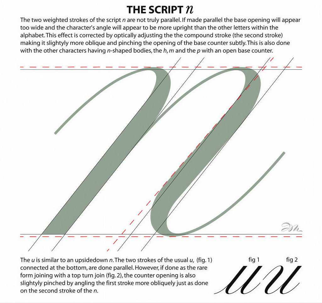 Anatomy of a Script "n"