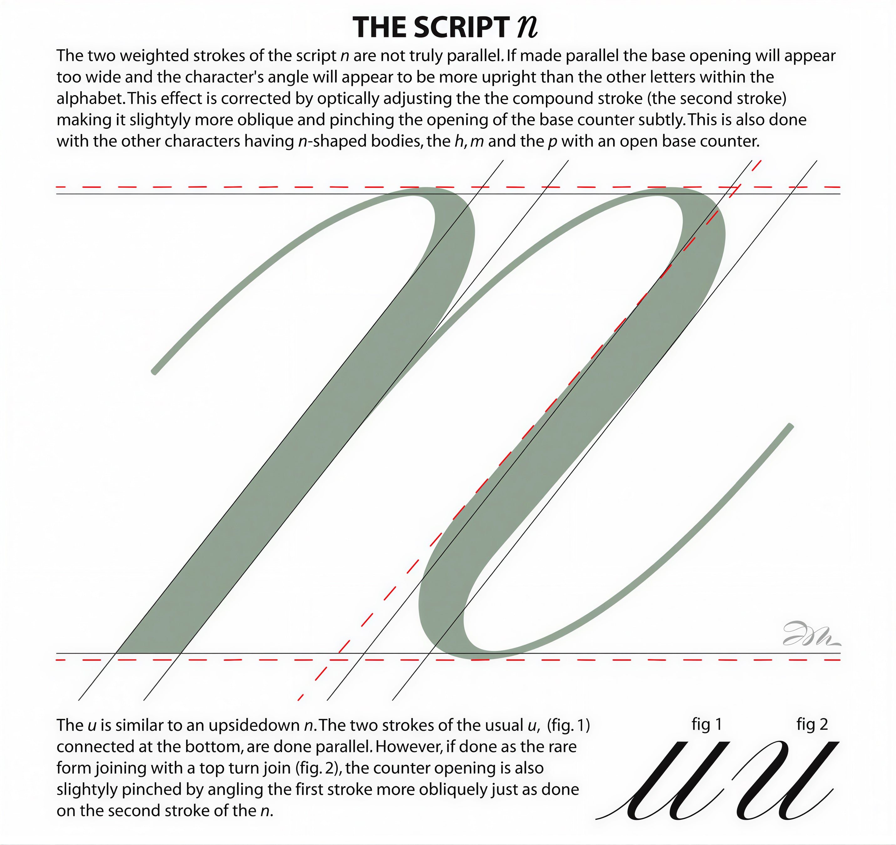 Anatomy of a Script "n"