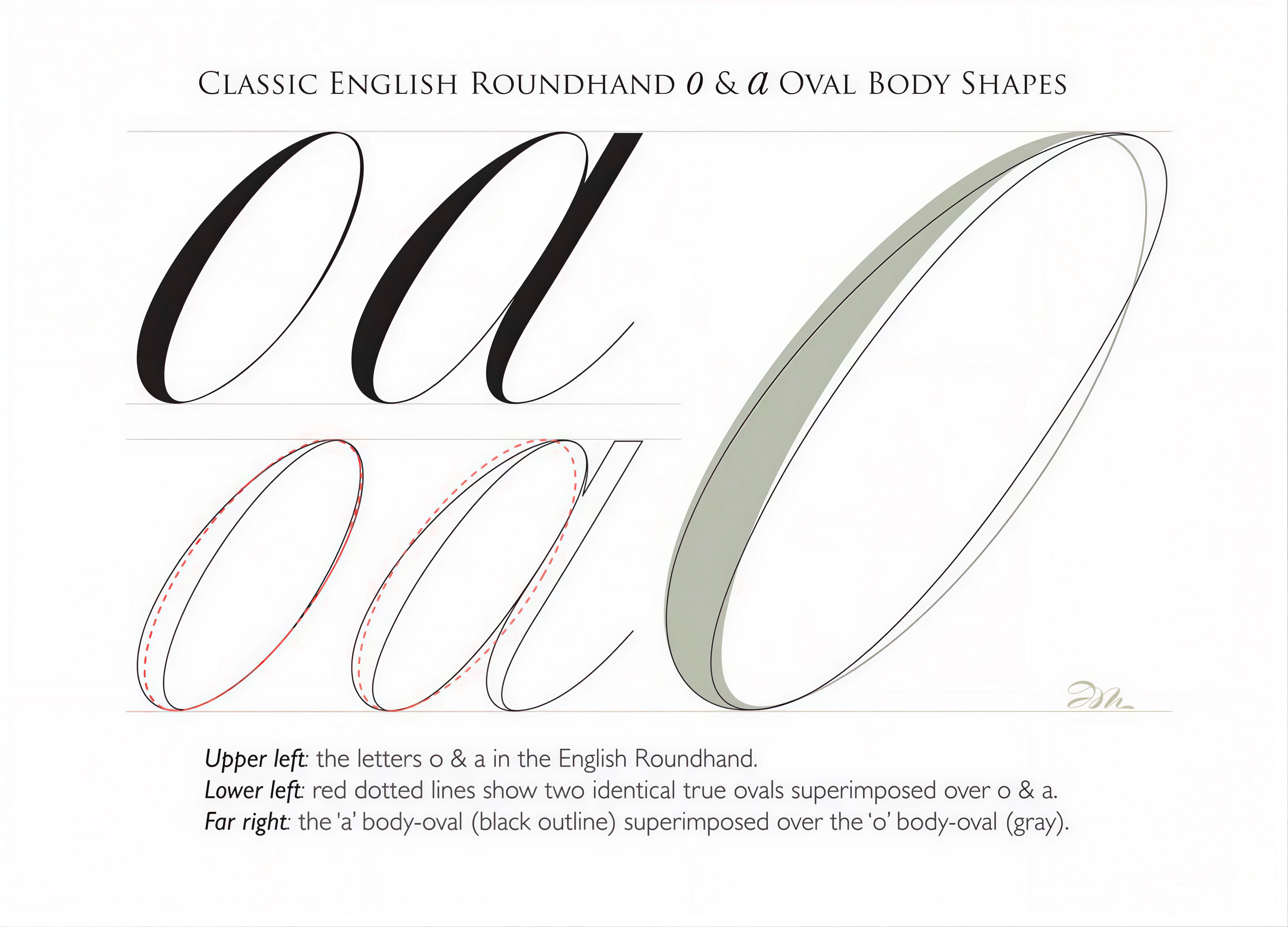 Classic English Roundhand O & A Oval Body Shapes