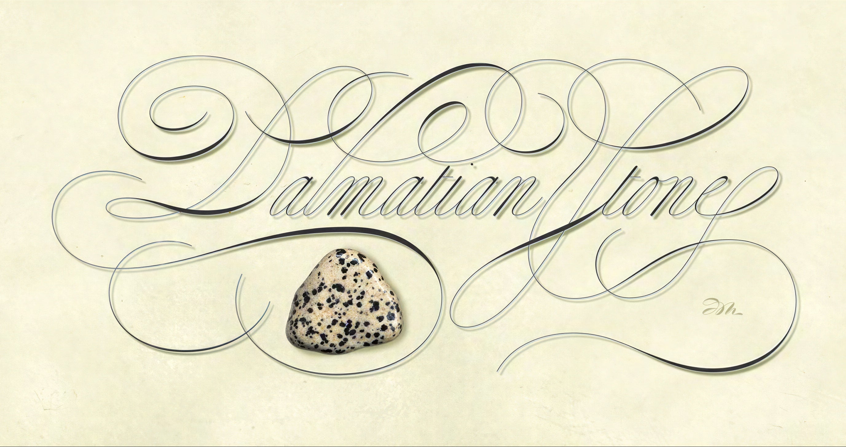 Minerals - Dalmation Stone - English Italian Hand