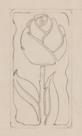 Floral Illustration - Pencil