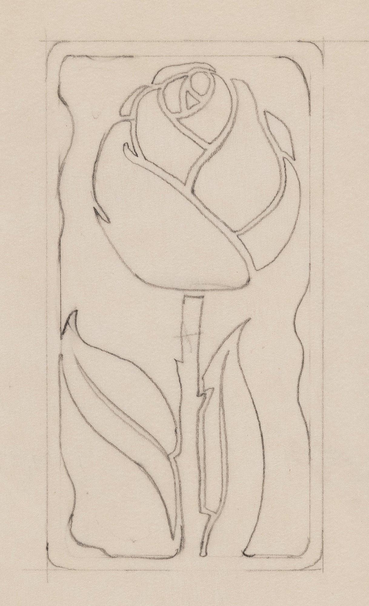 Floral Illustration - Pencil