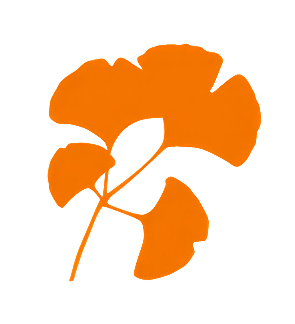 Ginko Leaf - Graphic