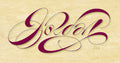 Birthday Wish - Jordan Jelev 2014