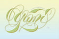 Birthday Wish - Yumi Yamamoto 2012