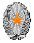 Japanese Aviator Wings