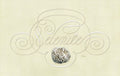 Minerals - Selenite - Italian Hand