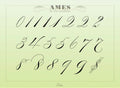 Spencerian Script - D.T. Ames Variations