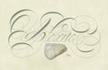 Minerals - Ulexite - English Italian Hand