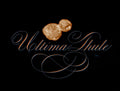 Astronomy - Ultima Thule - English Roundhand
