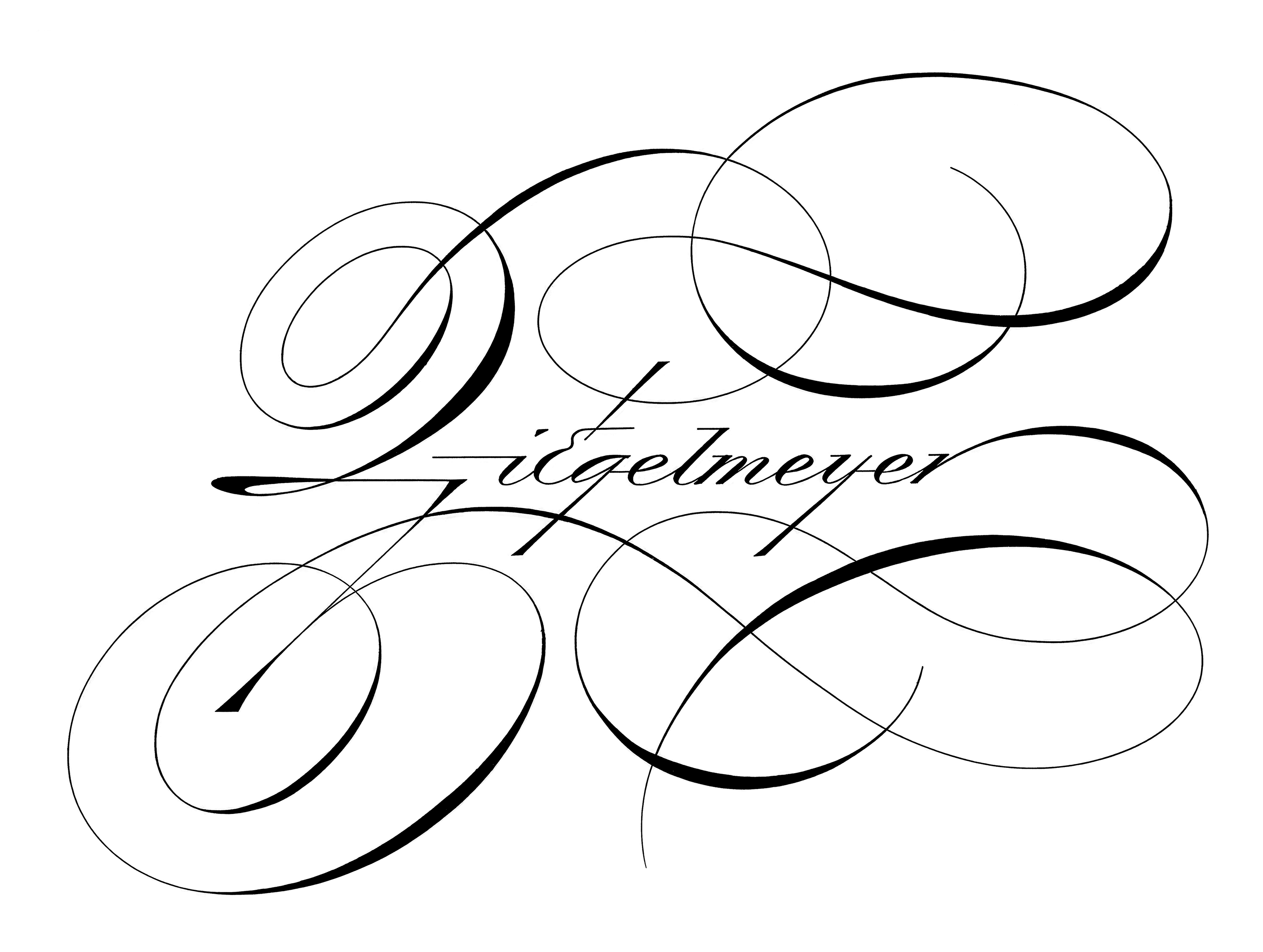 Ziegelmeyer - Script
