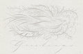 Zoomorphic Offhand - Holiday Bird